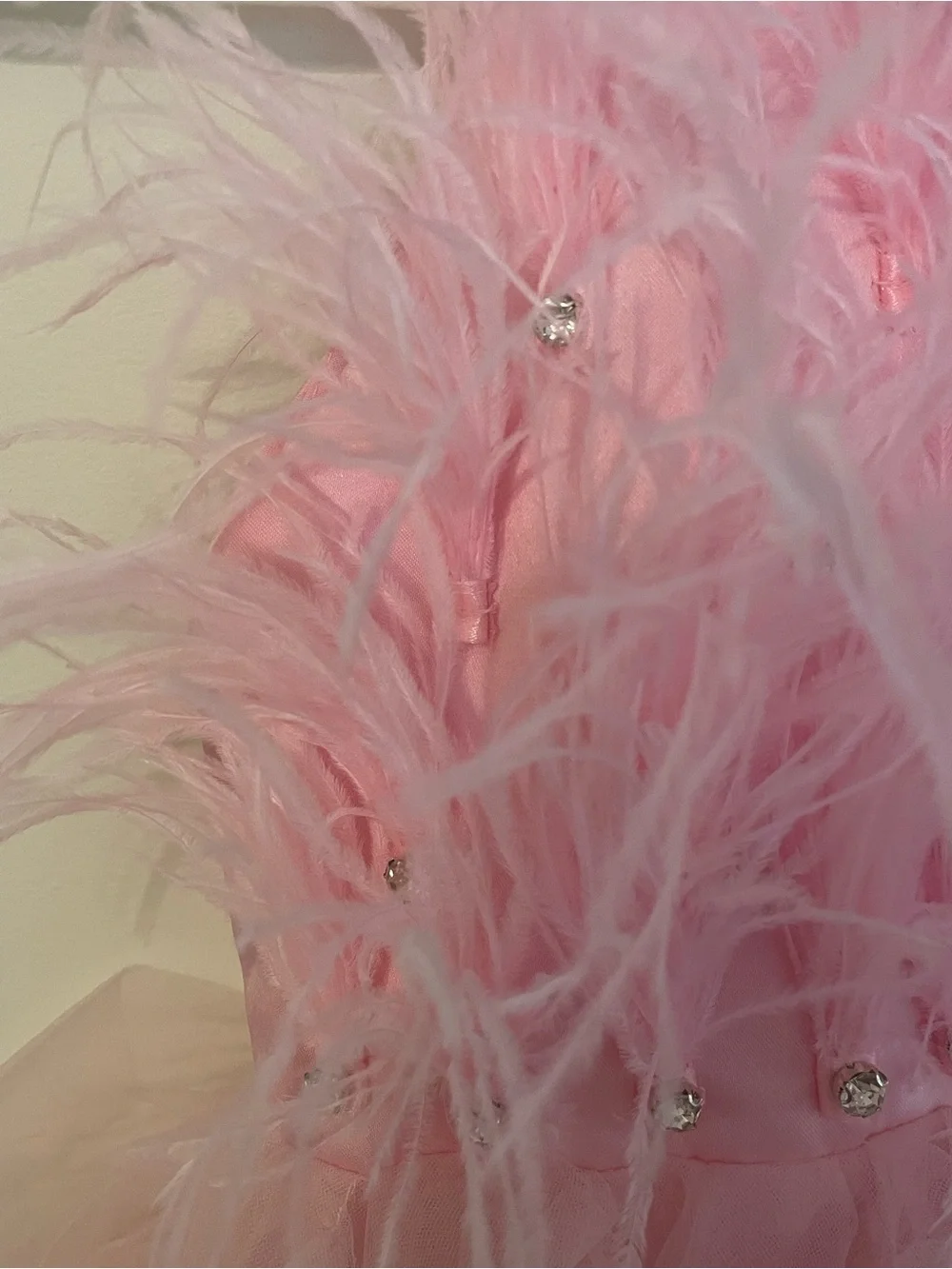 Lola + The Boys Pink Princess Feather Dress Size 8